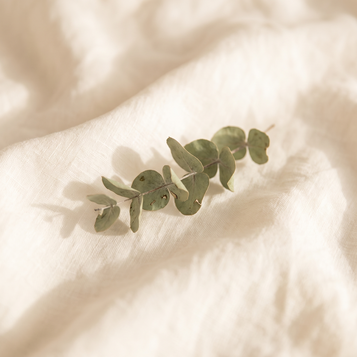 orenna brand square linen